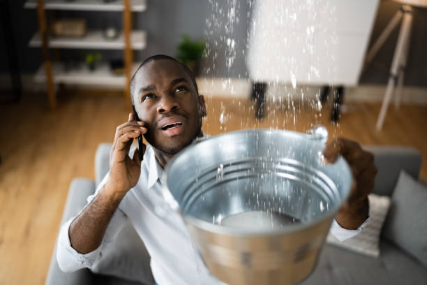 Best Water damage restoration near me  in New Hope, PA