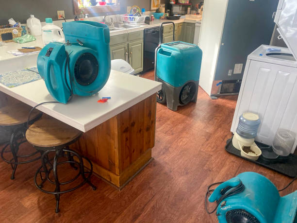 Reliable New Hope, PA Water damage restoration Solutions